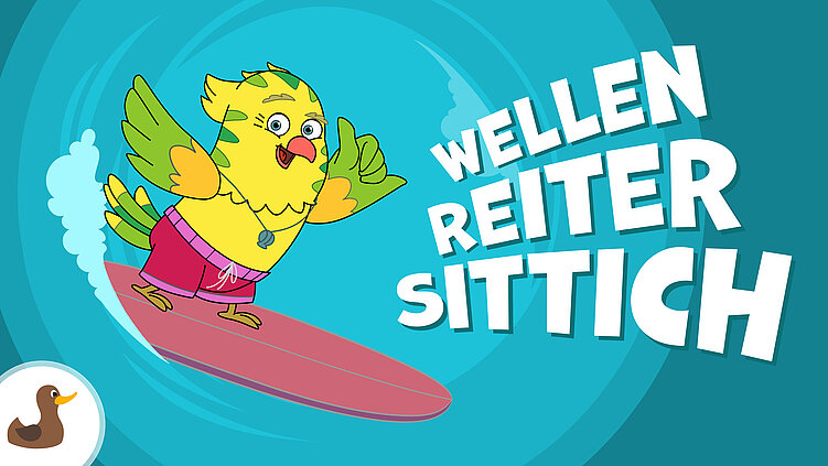 Wellenreitersittich