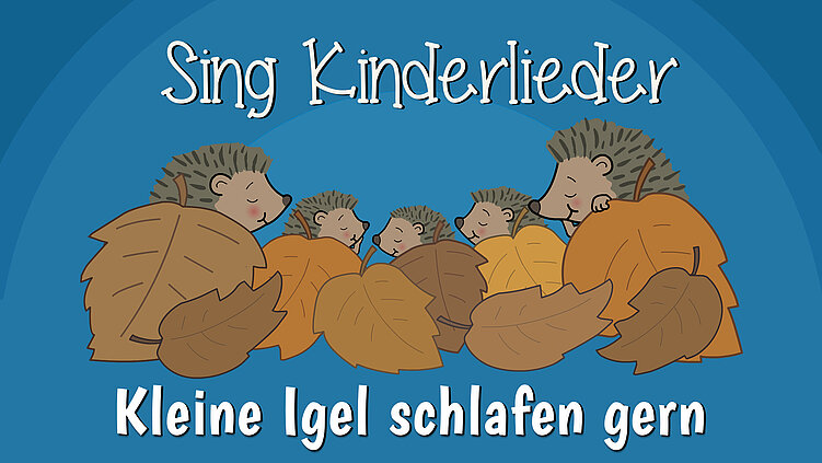Kleine Igel schlafen gern