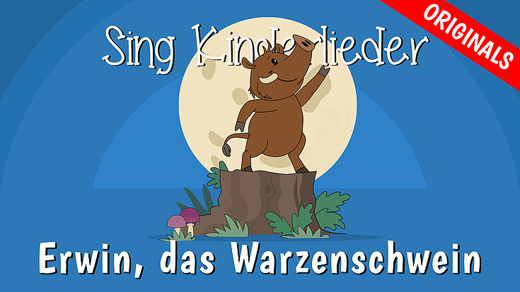 Erwin, das kleine Warzenschwein